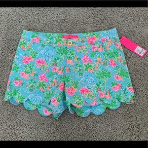 NWT Disney x Lilly Pulitzer Buttercup Shorts Size 4